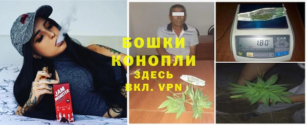 бошки Аркадак