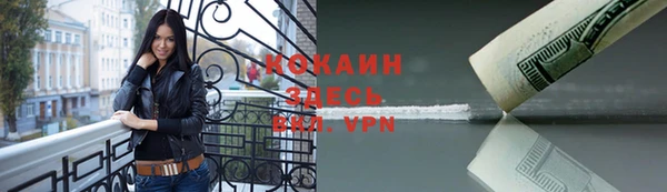 индика Армянск