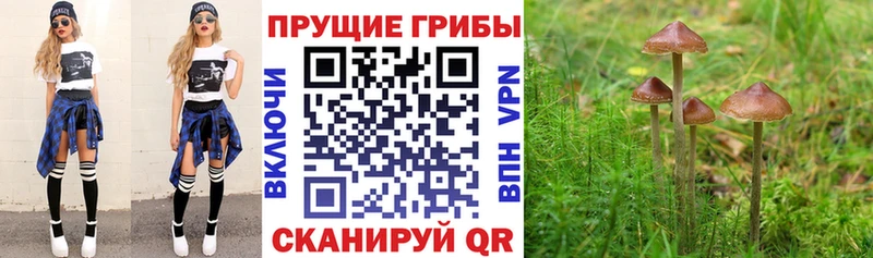 Псилоцибиновые грибы ЛСД  MEGA ссылки  Краснослободск 