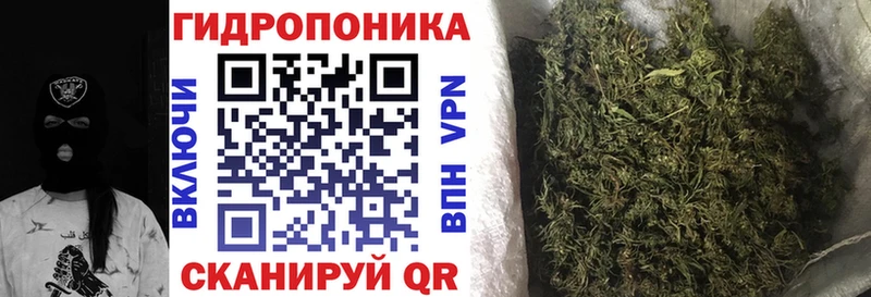 купить   Краснослободск  МАРИХУАНА марихуана 